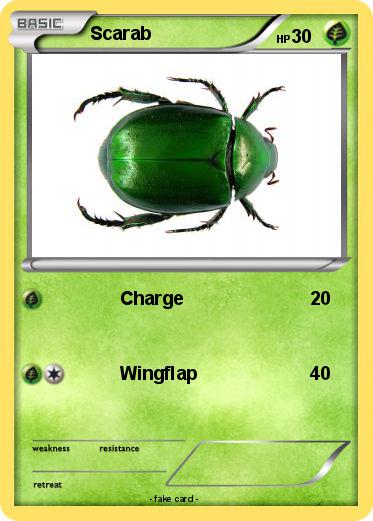 Pokemon Scarab