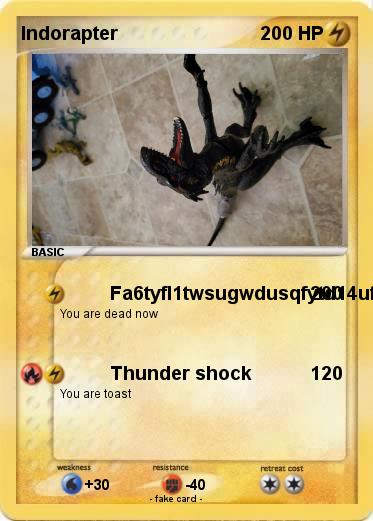 Pokemon Indorapter