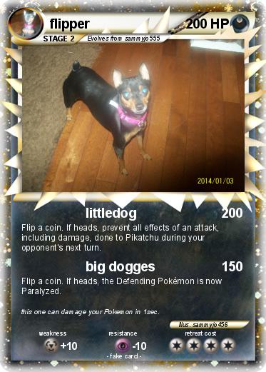 Pokemon flipper