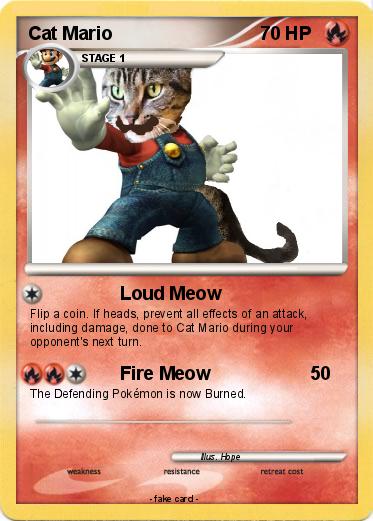 Pokemon Cat Mario