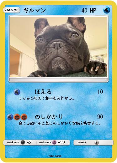 Pokemon ギルマン