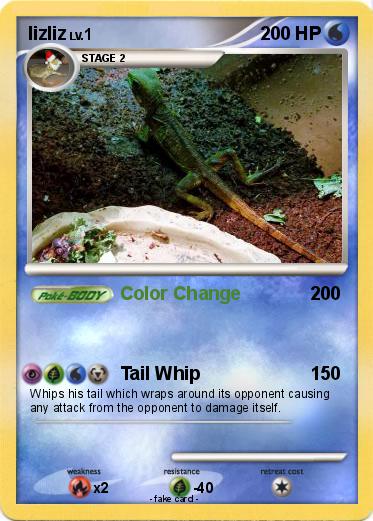 Pokemon lizliz