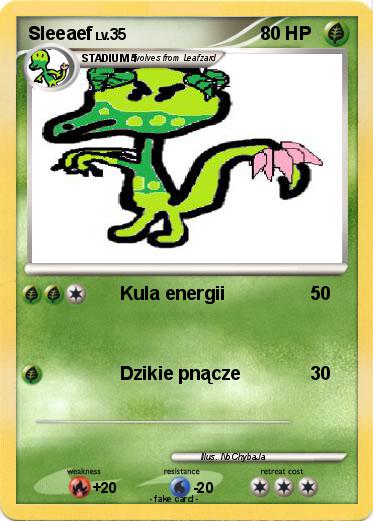Pokemon Sleeaef