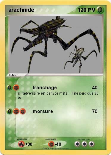 Pokemon arachnide