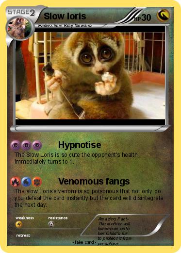 Pokemon Slow loris