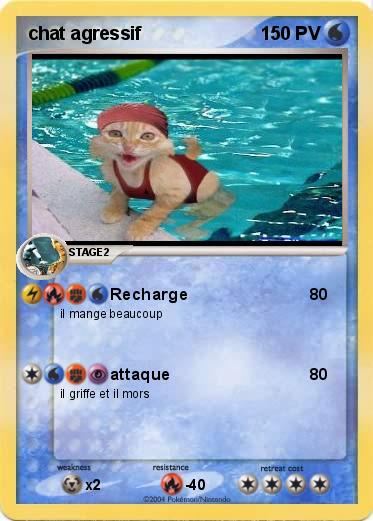 Pokemon chat agressif 