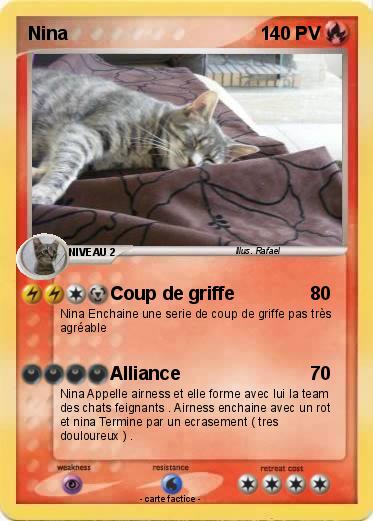 Pokemon Nina