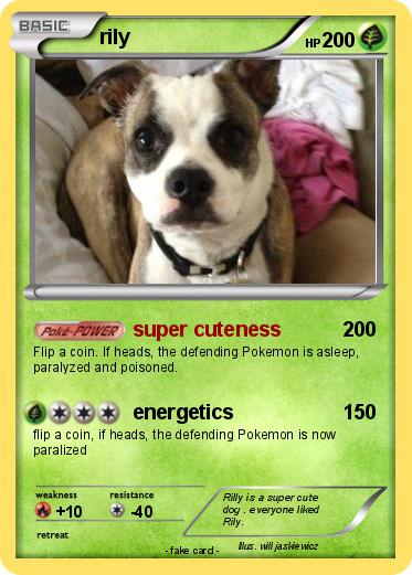 Pokemon rily