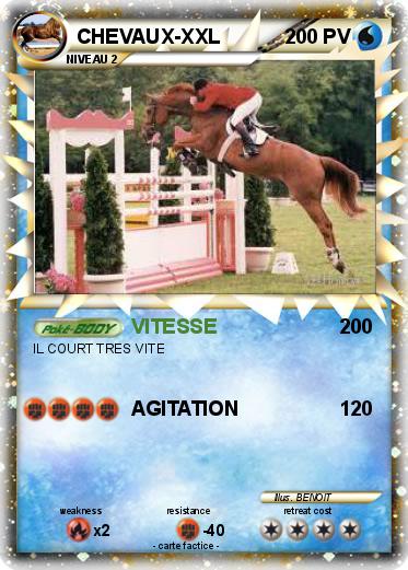 Pokemon CHEVAUX-XXL