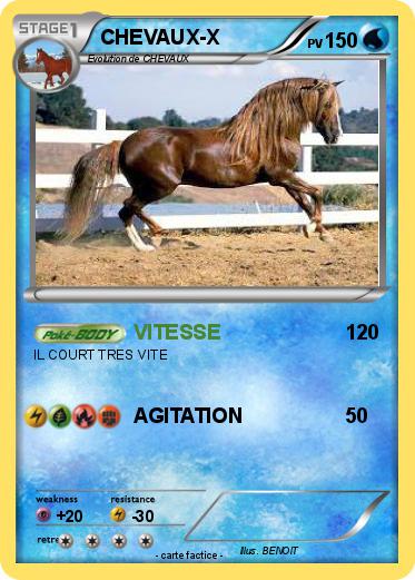 Pokemon CHEVAUX-X