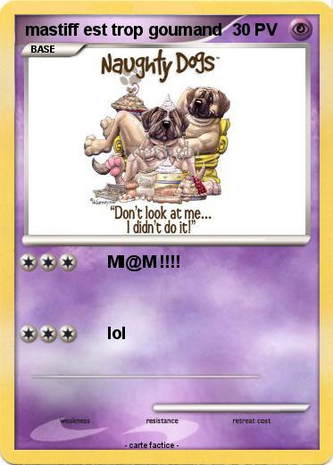 Pokemon mastiff est trop goumand