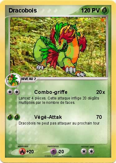 Pokemon Dracobois