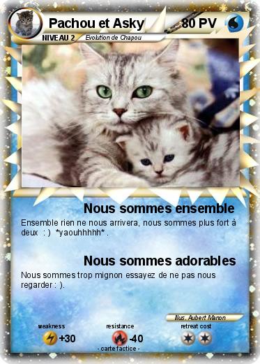 Pokemon Pachou et Asky