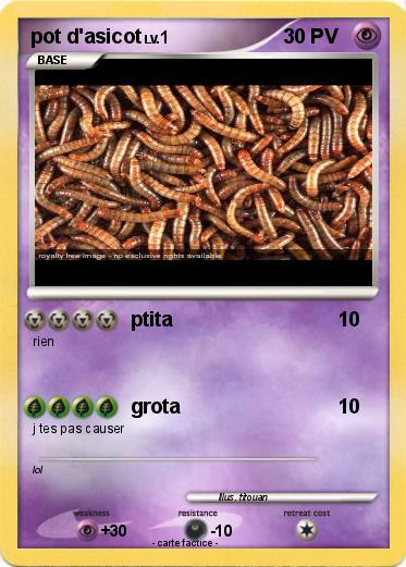 Pokemon pot d'asicot