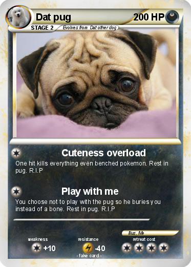 Pokemon Dat pug