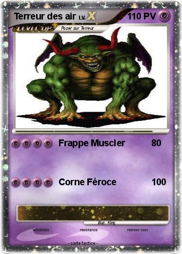 Pokemon Terreur des air