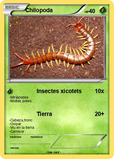 Pokemon Chilopoda