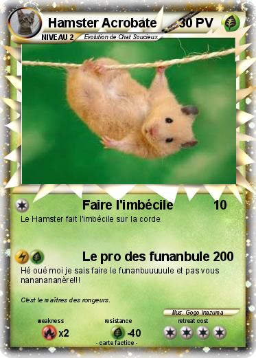 Pokemon Hamster Acrobate