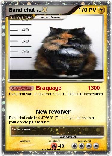 Pokemon Bandichat