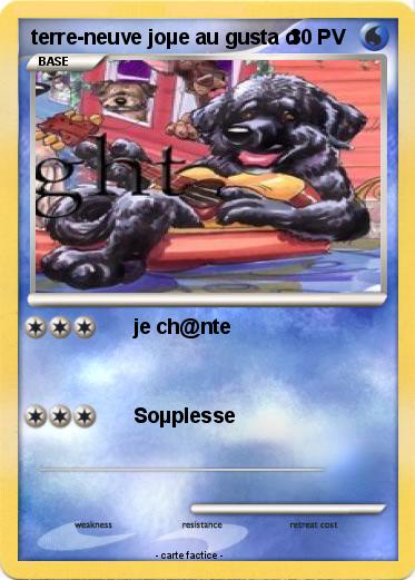 Pokemon terre-neuve joµe au gusta d