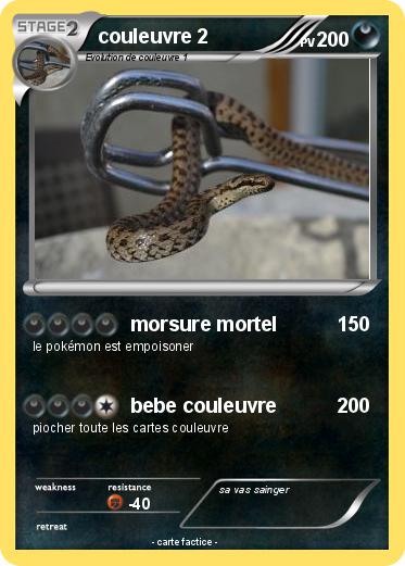 Pokemon couleuvre 2