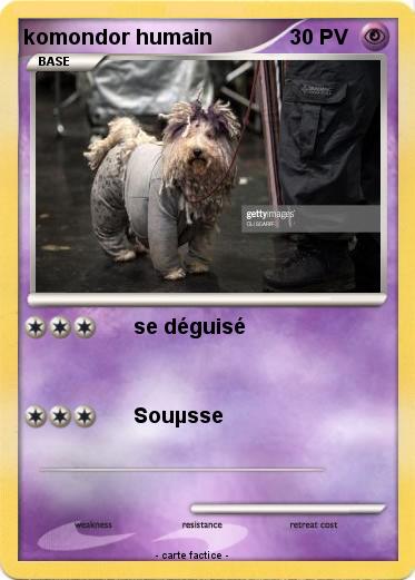 Pokemon komondor humain