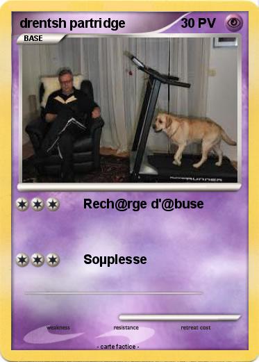 Pokemon drentsh partridge