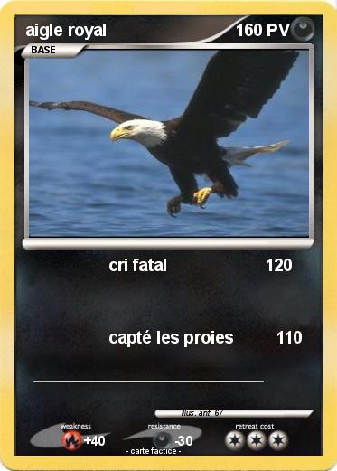 Pokemon aigle royal
