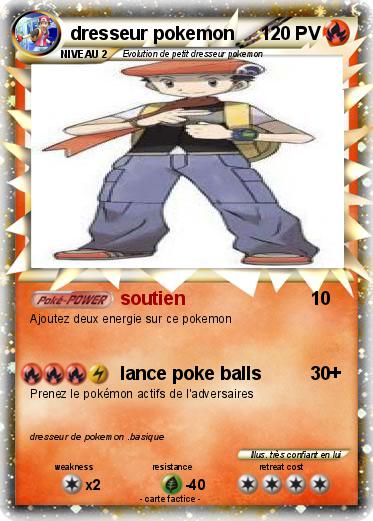 Pokemon dresseur pokemon