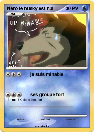 Pokemon Néro le husky est nul