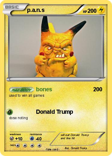 Pokemon p.a.n.s