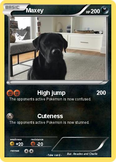Pokemon Maxey