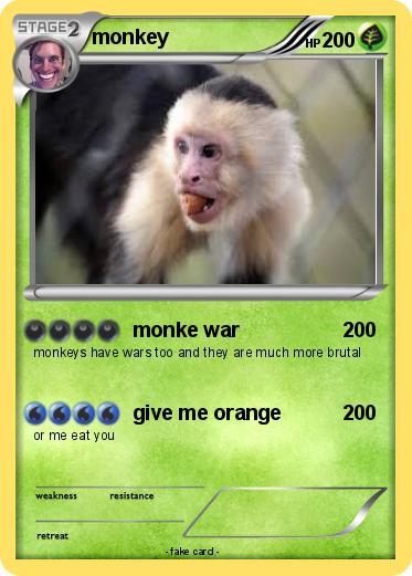 Pokemon monkey