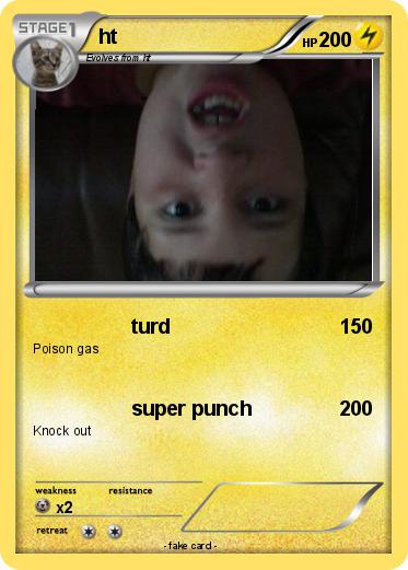 Pokemon ht