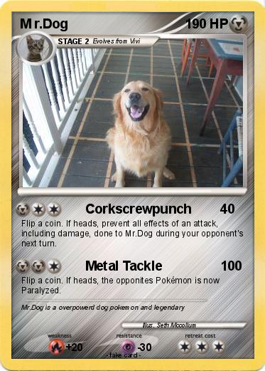 Pokemon M r.Dog
