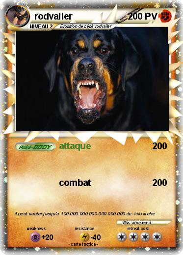 Pokemon rodvailer