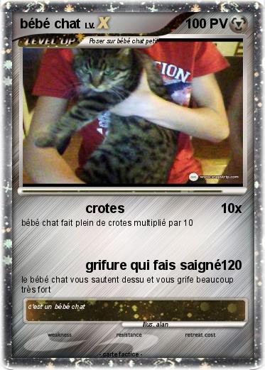 Pokemon bébé chat
