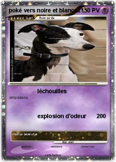 Pokemon poké vers noire et blanc
