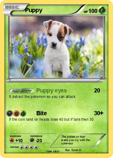 Pokemon Puppy
