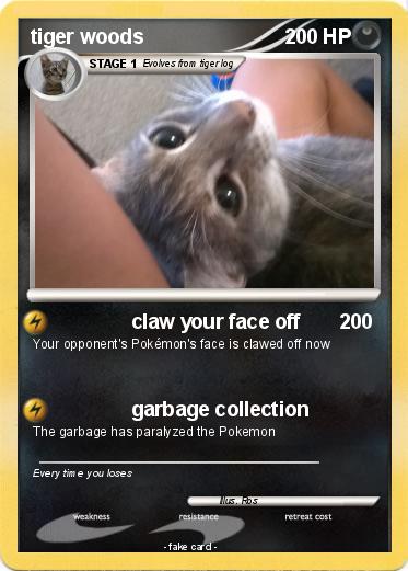 Pokemon tiger woods