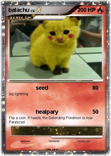 Pokemon batachu