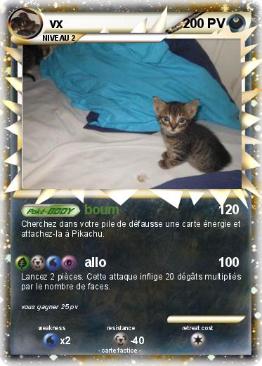 Pokemon vx