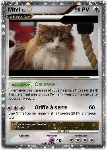 Pokemon Mimi
