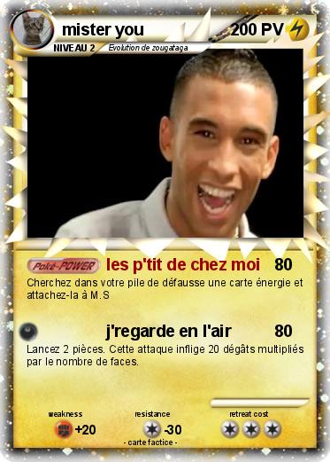 Pokemon mister you