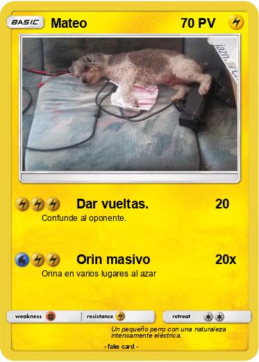 Pokemon Mateo