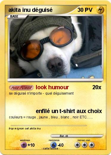 Pokemon akita inu déguisé