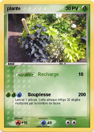 Pokemon plante