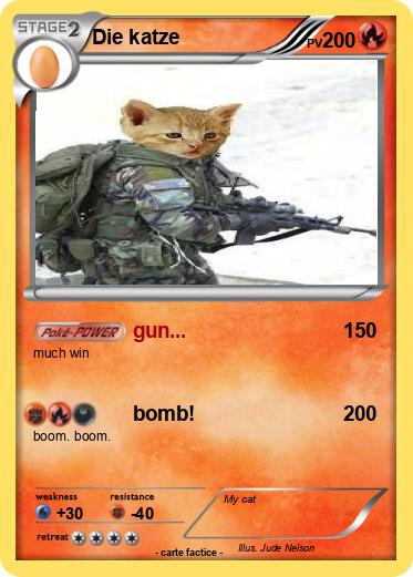 Pokemon Die katze