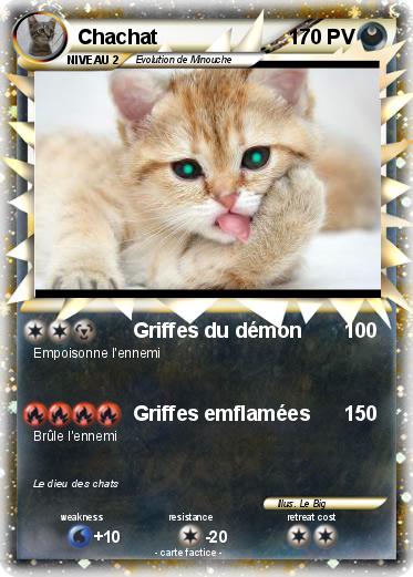 Pokemon Chachat