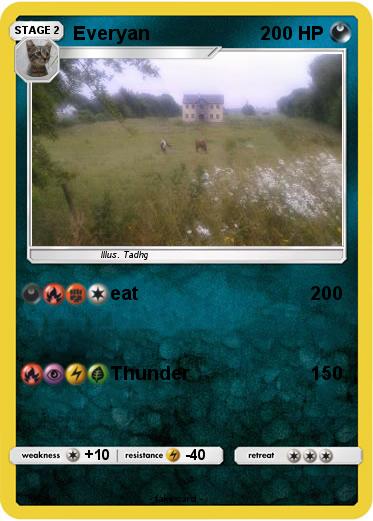 Pokemon Everyan